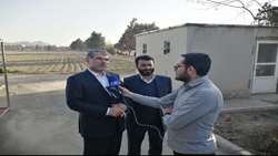 ساداتی‌نژاد در بازدید از نهالستان ایران تورانی طرق: احیای اراضی و کاشت درخت از نشانه‌های آبادانی کشور است